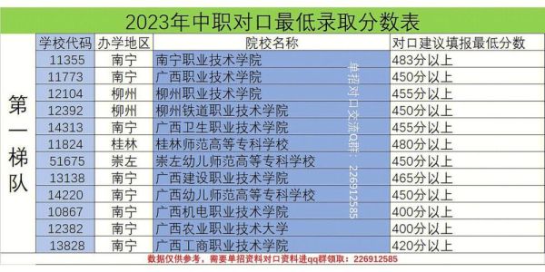 广西金色乡村是个什么app？广西软件工程专业分数线