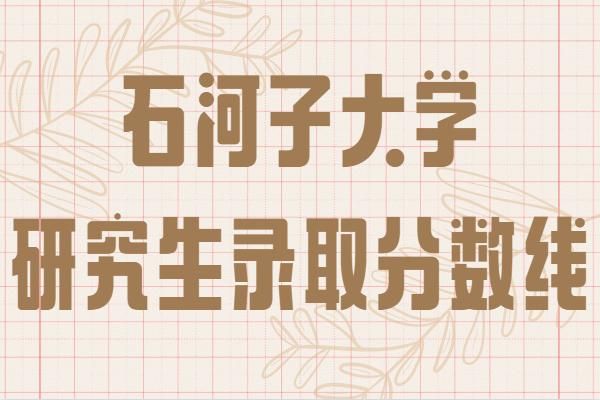 石河子黄面哪家最好吃？石河子大学阿拉伯语专业分数线