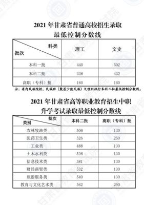 甘肃理科490能上撒学校？甘中医文科专业分数线
