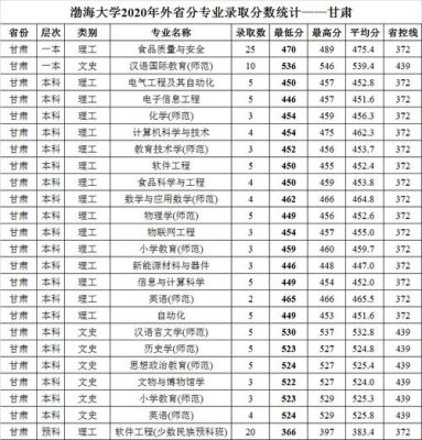 2020年渤海大学文科录取分数线？渤海大学二本专业分数线