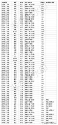 武汉理工大学强基计划分数线？（武汉大学生物专业分数线黑龙江）