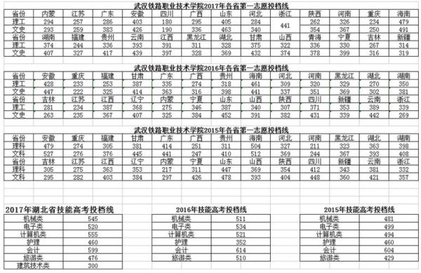 武汉职高专业排名？（武铁专业分数线）