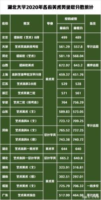 湖北大学2023艺术生录取分数线？（湖北美院校考专业分数线）