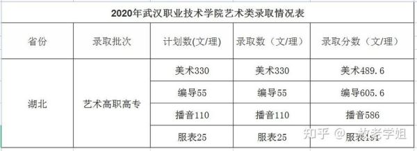 武汉职业技术学院录取分数线23年？（武汉职业技术学专业分数线）