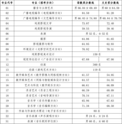 传媒表演系艺考文化分要多少？（中国传媒大学2019艺术类专业分数线）