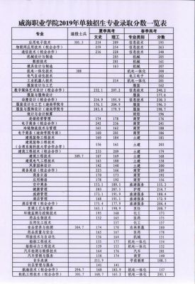 中考多少分可以去威海职业学院？（威海职业学院2018专业分数线）