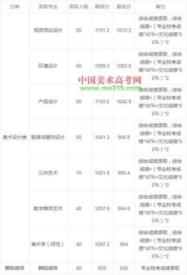江南大学艺术类单科要求？（江南大学舞蹈专业分数线）